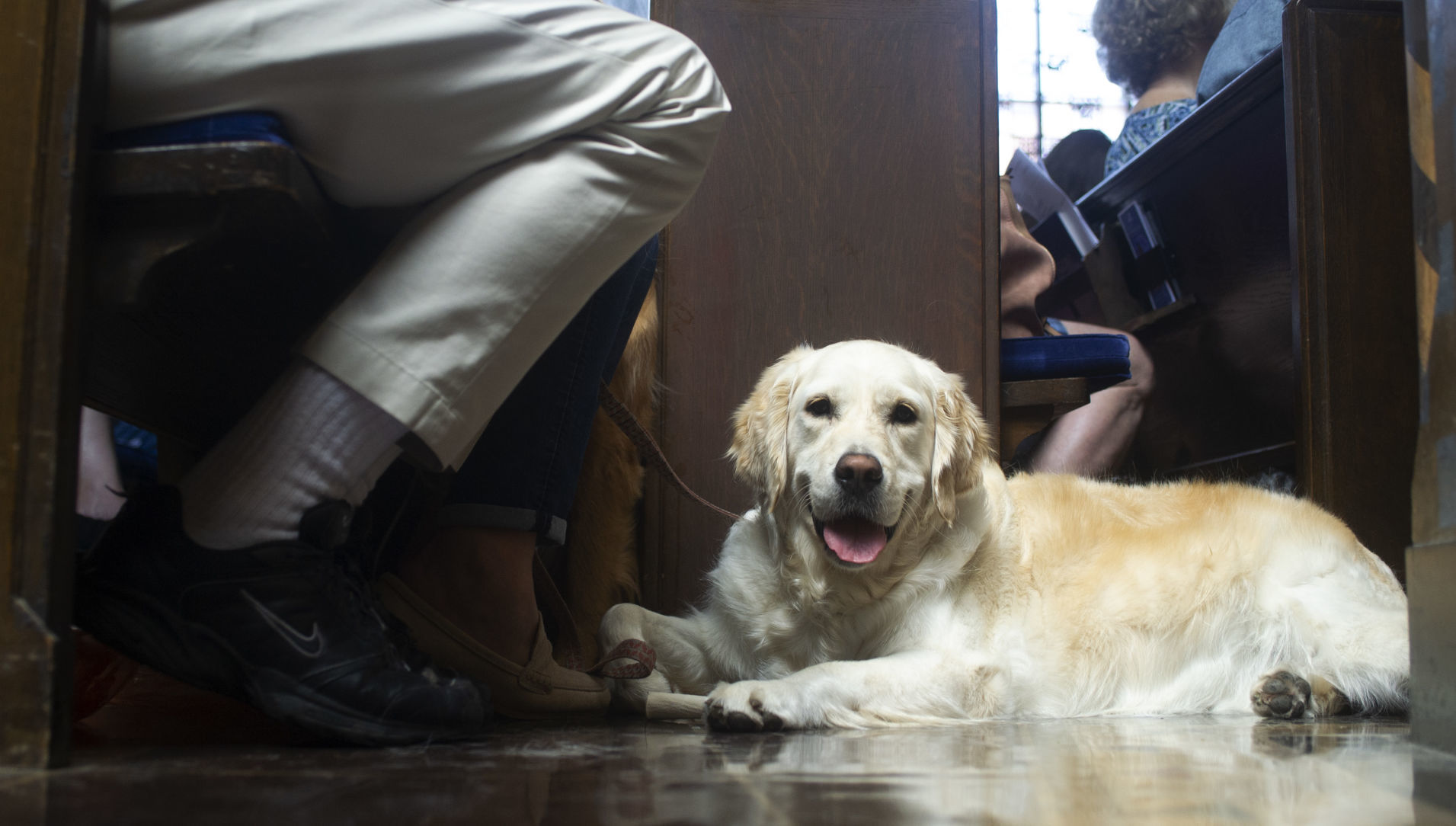 Animal Blessing at First-Plymouth Congregational Church, 6.2